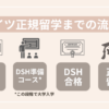 ドイツ正規留学までの流れ